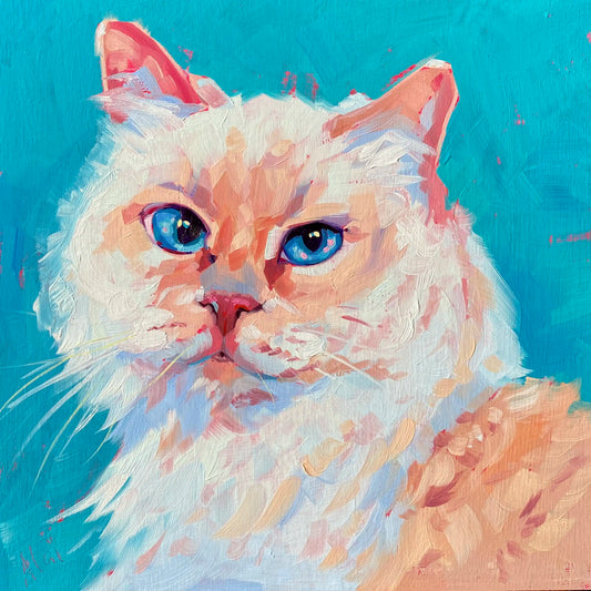 An original 8x8 oil painting of a fluffy white and cream flame point cat named Anya with striking blue eyes. Features a solid, vibrant teal background with thick painterly texture.