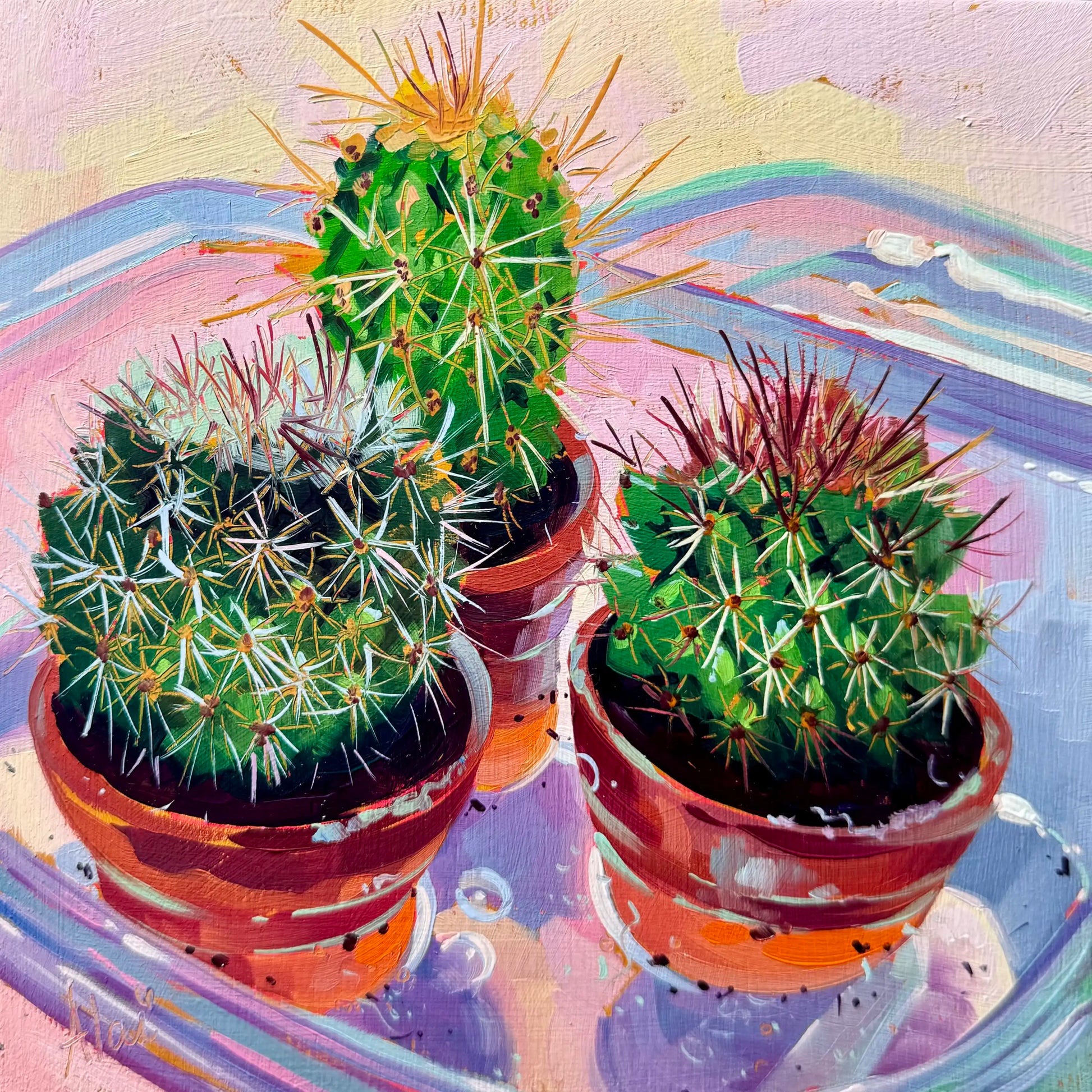 Original oil painting by Alai Ganuza titled "Cacti". Three small cacti with white, gold, and red spines in terracotta pots sitting on a reflective blue and purple tray against a pastel pink background.