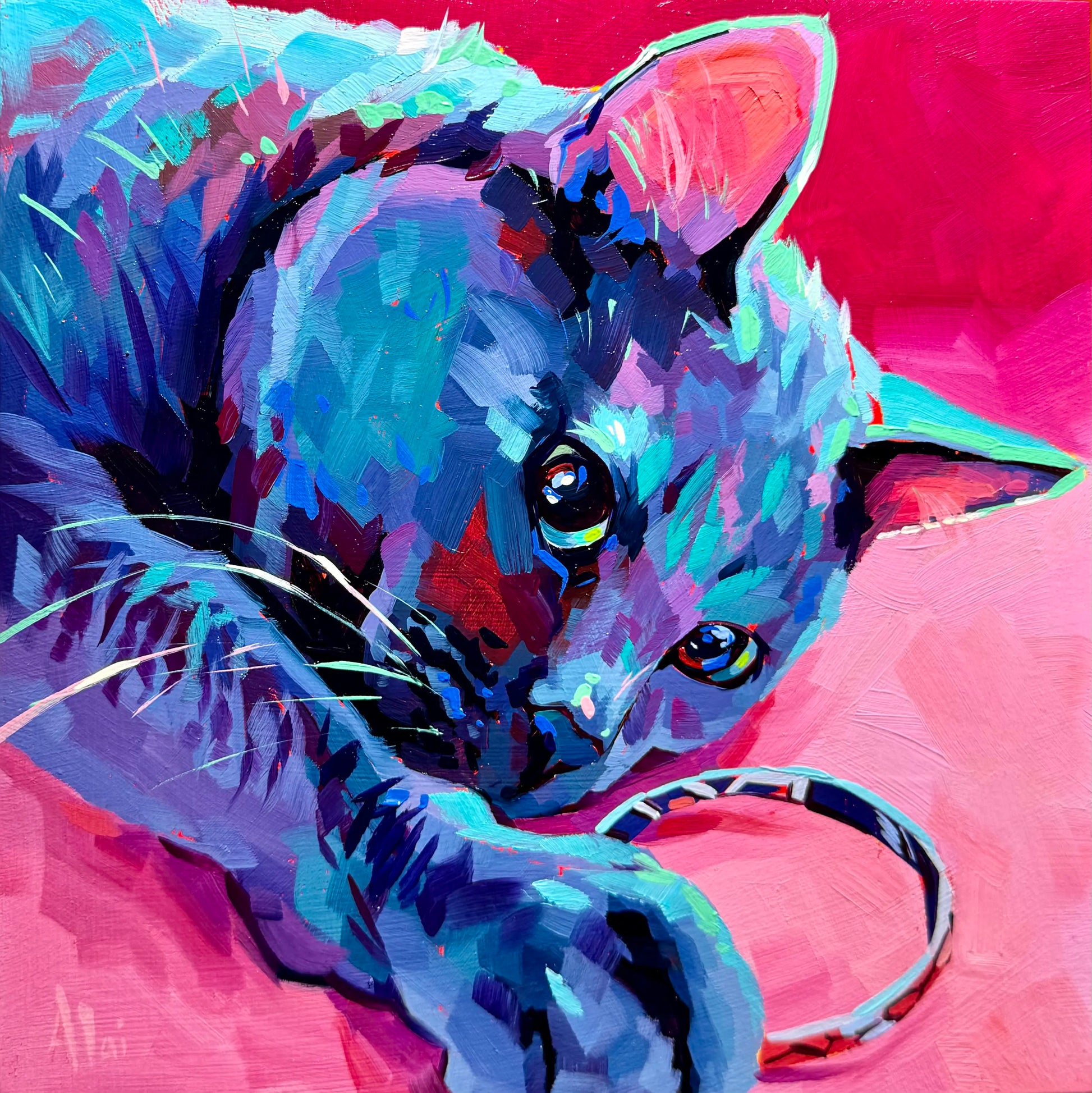 A high-contrast custom oil painting of a blue-toned cat named Cinder playing with a hair tie against a vibrant pink background with thick impasto texture.