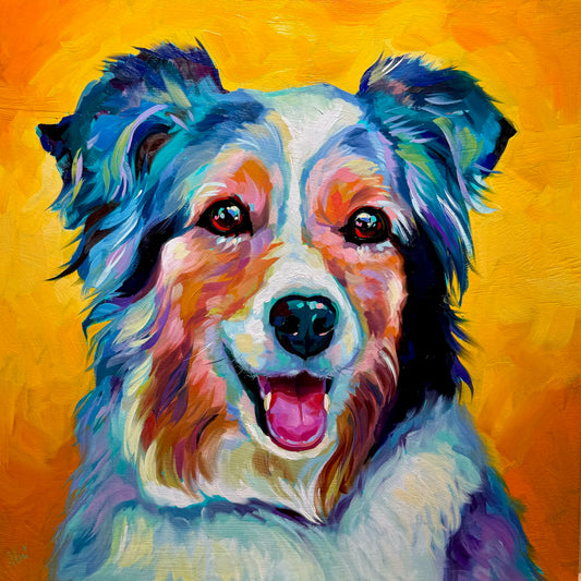 An original 16x16 oil painting of an Australian Shepherd dog named Clementine smiling with her tongue out. Features a bright orangey-yellow background and highly textured blue, purple, and cream fur.