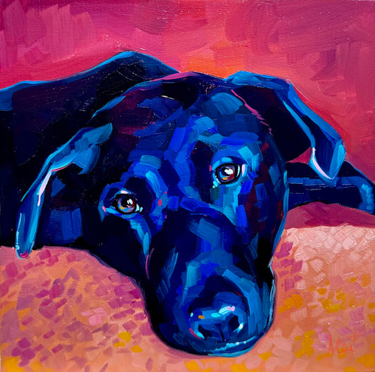 A high-contrast oil painting of a black dog with vibrant blue and violet highlights. The dog is resting against a fall-themed background of hot pink and orange with thick impasto texture.