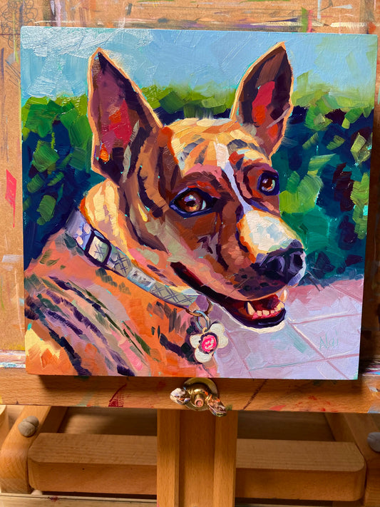 An original 8x8 oil painting of a tan and brindle dog named Izzy with large perked ears and a collar with a pink tag. Painted with thick texture against a green hedge and blue sky.
