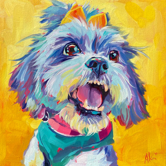 An original 8x8 oil painting of a fluffy grey and white Shih-Tzu Maltese mix named Sunshine barking with her mouth wide open. Features a bright lemon-yellow background, an orange head bow, and a teal bandana.