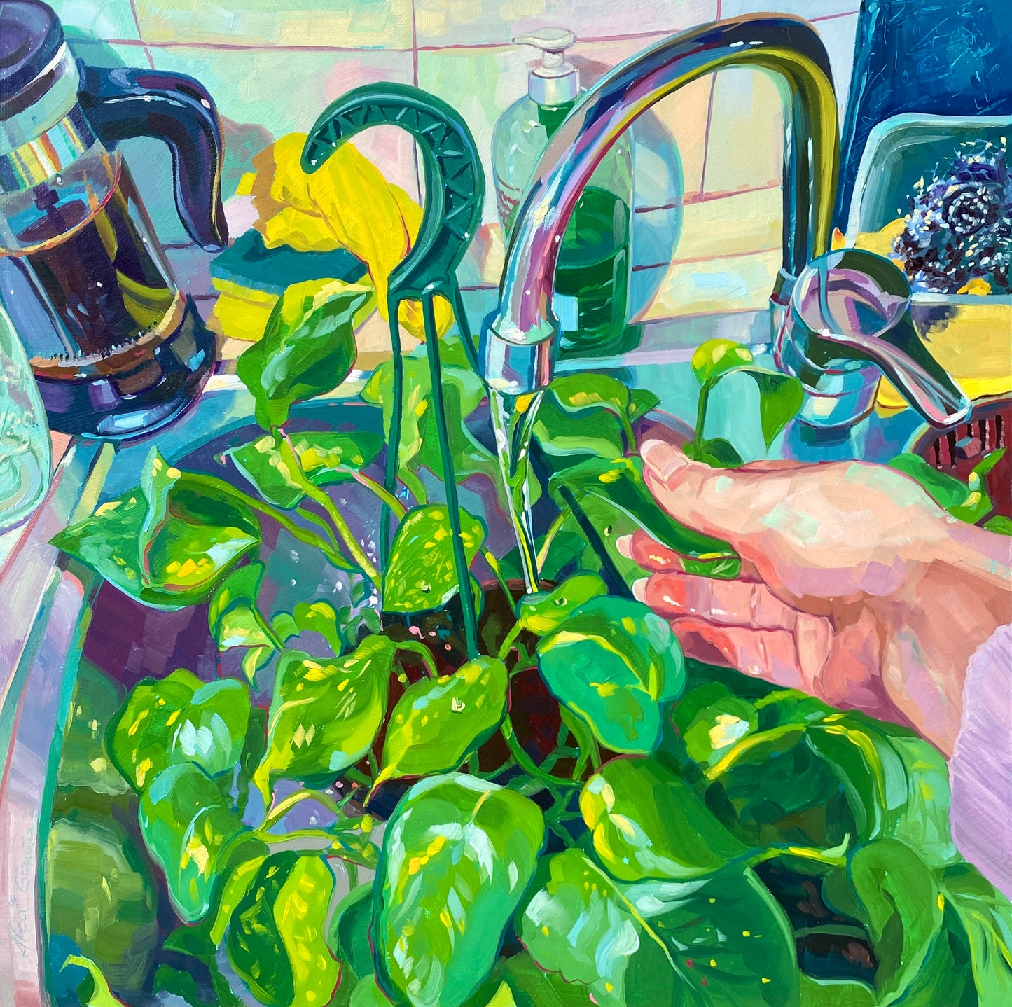 Original oil painting by Alai Ganuza titled "Watering plants". A lush green pothos plant in a hanging basket being watered in a kitchen sink, featuring a chrome faucet and a hand reaching into the water.