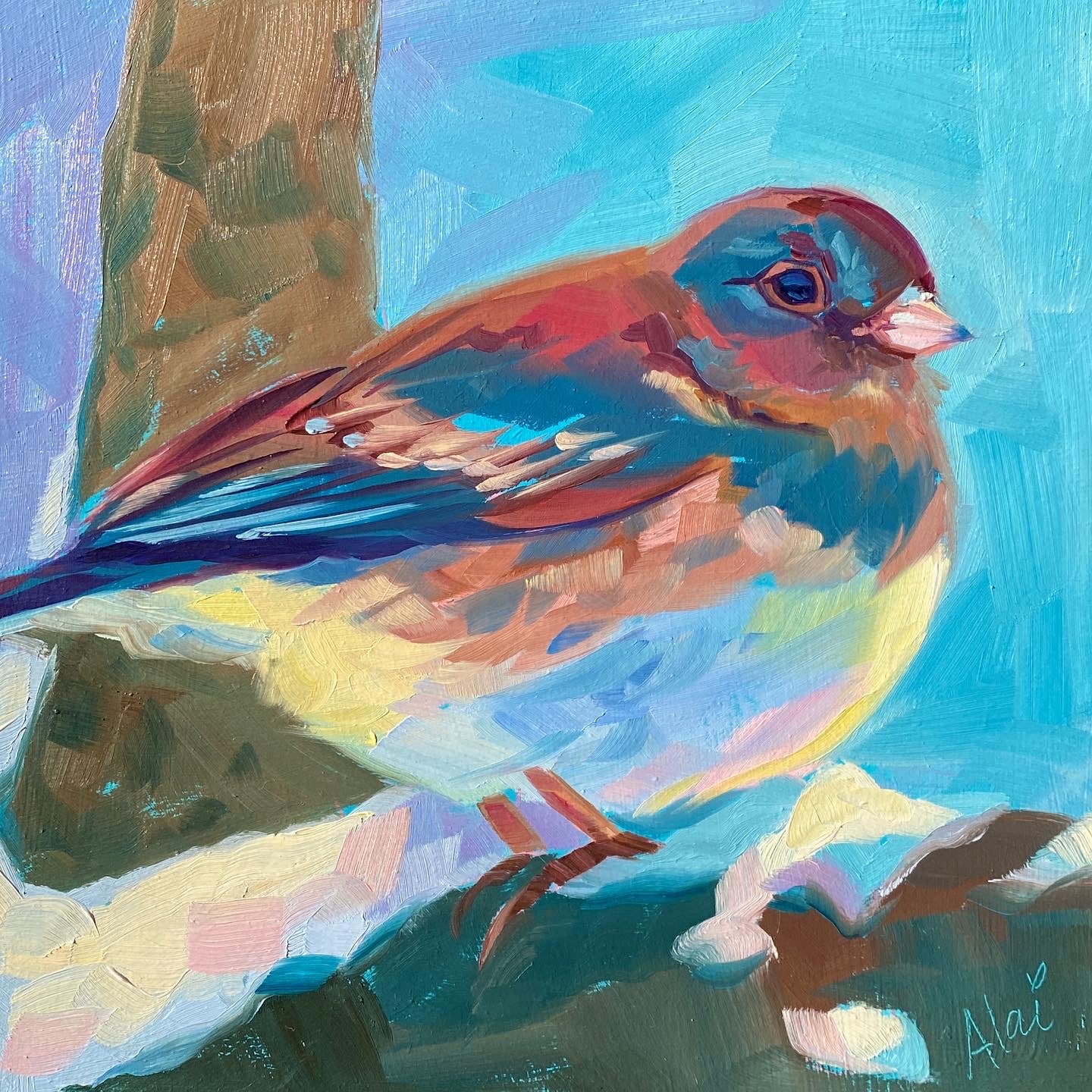 Original oil painting by Alai Ganuza titled "Bird study". A small songbird with rich brown, red, and blue feathers perched on a branch, rendered in thick impasto with a sky blue underpainting against a vibrant blue and lavender background.