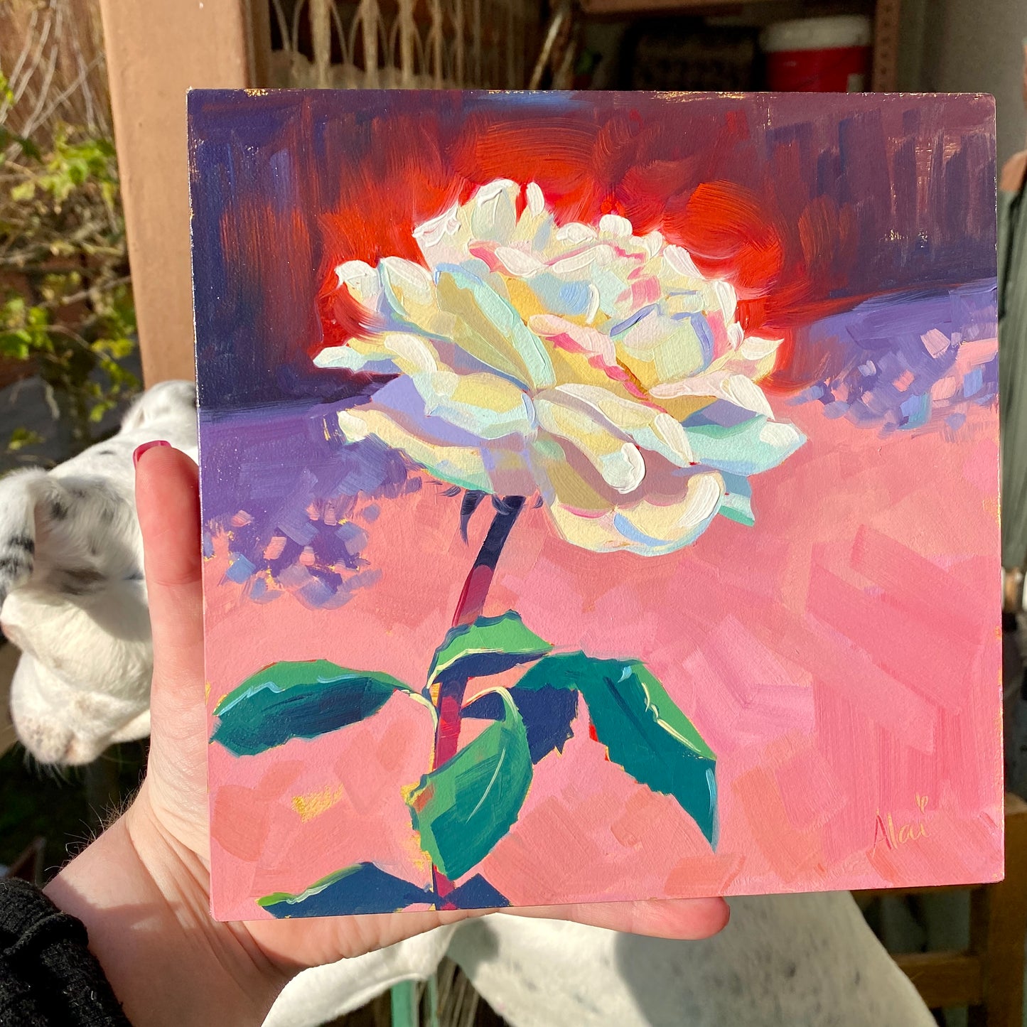White rose - Original Oil Painting